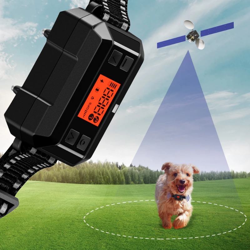 2025 Chip GPS Pet Electric Dog - Outdoor Furniture Plus ulasan dan harga