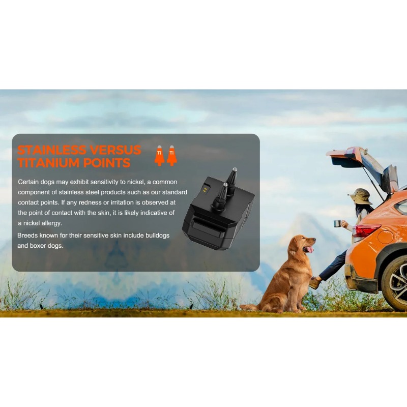 2025 Chip GPS Pet Electric Dog - Outdoor Furniture Plus ulasan dan harga
